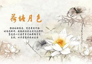 玉兰墙纸