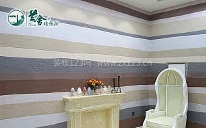 兰舍硅藻泥图1