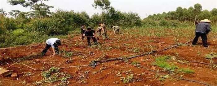 混凝土一方多少平米