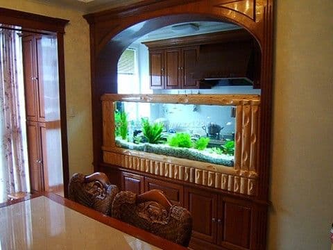 壁挂鱼缸