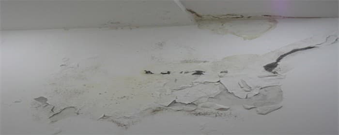房子墙面有霉点怎么处理翻新图1