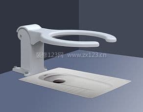 两用马桶图1