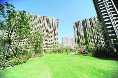 住宅绿化率要求多少适合