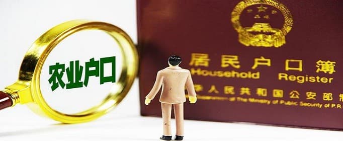 农村户口迁出后还能迁回吗