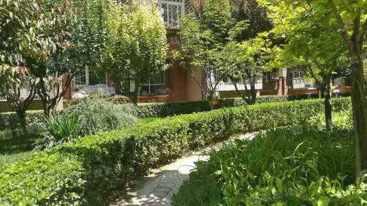 住宅小区绿化率标准是什么?