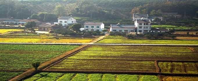 新土地政策下出现哪些情况会被罚款