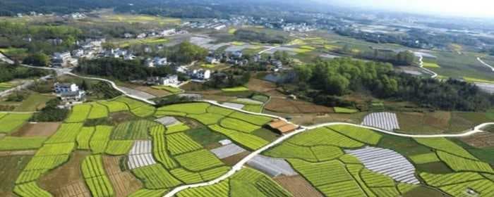 买的宅基地能确权吗