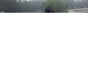 房顶漏水怎么办