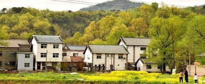 农村宅基地能否继承