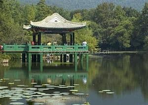 水榭