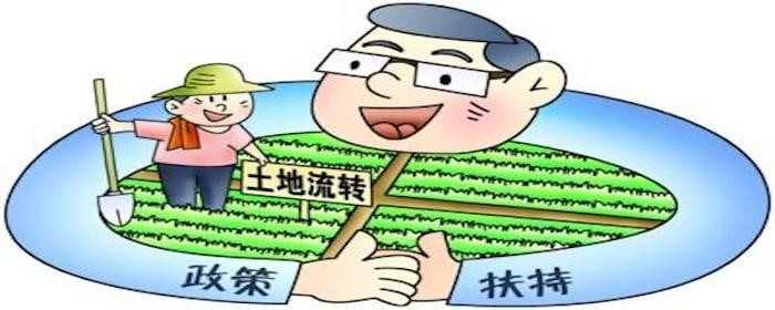 甘肃土地流转补贴标准是什么