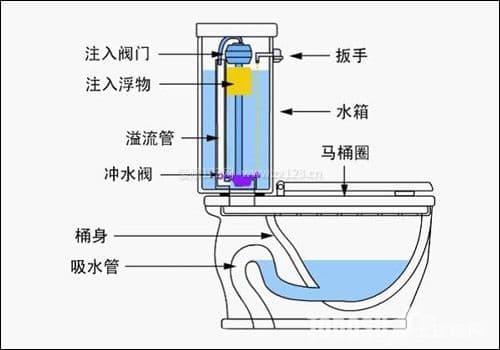 虹吸式马桶