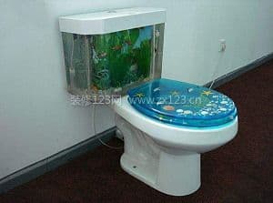 鱼缸马桶