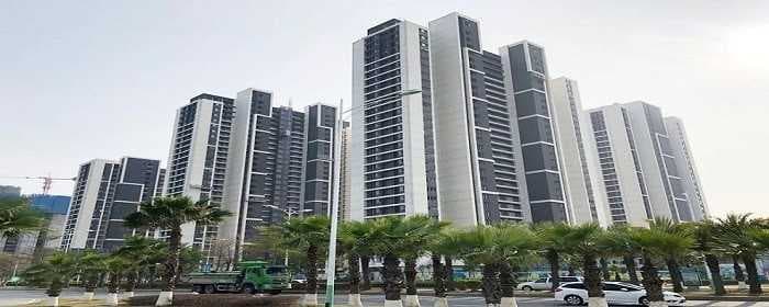 申请住房保障的流程