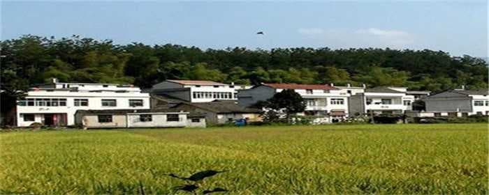 开发商可以征收土地吗