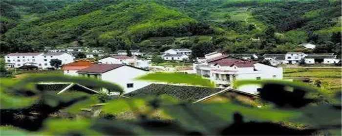 农村土地被强行占用找哪个部门投诉