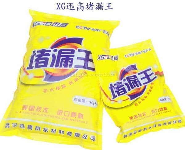 堵漏王