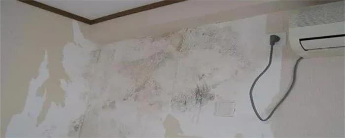 屋内潮湿墙皮脱落怎么处理图2