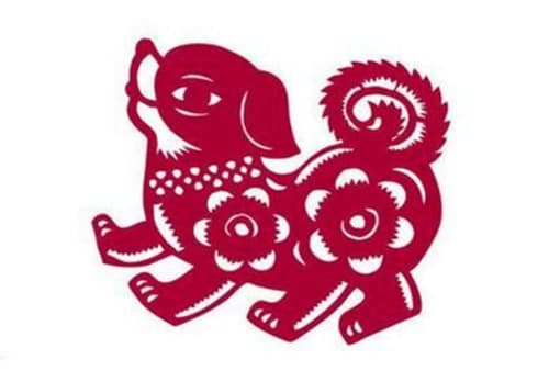 1994年属狗五行缺什么