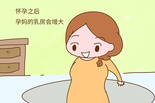 怎么知道自己有没有怀孕