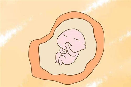 孕36周胎儿发育标准