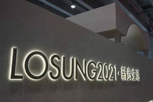 LOSUNG2021看见眼界
