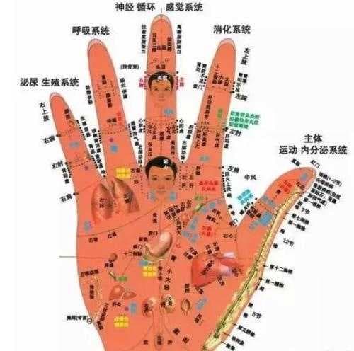 姻缘怎么看