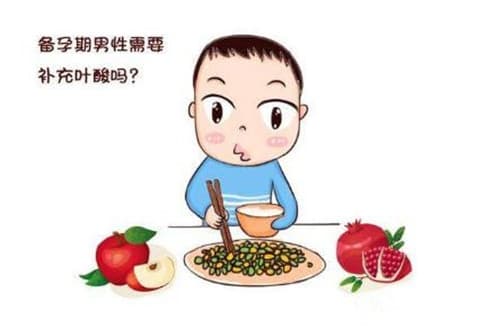 男性备孕吃什么好