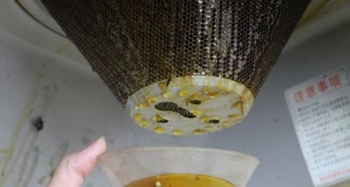 厨房的C位之争，选集成灶还是传统烟灶？