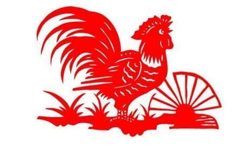 属鸡和什么属相相冲