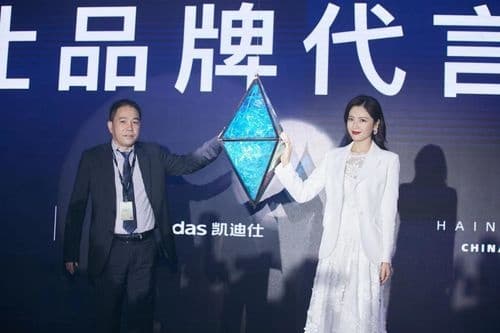 获“凯迪仕智能锁，全国销量领先”荣誉牌匾，凯迪仕2020年度经销商大会圆满举办