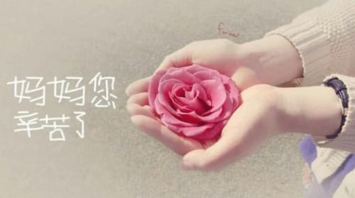 感恩公婆话语简短精辟的话