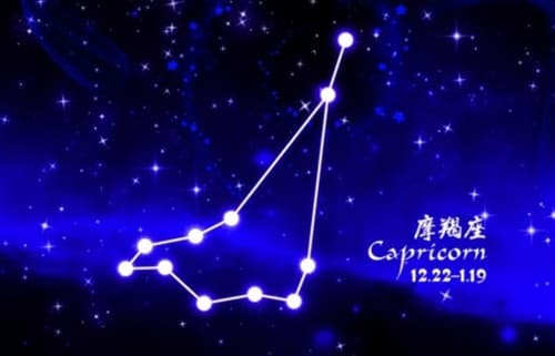 摩羯座女生配什么星座