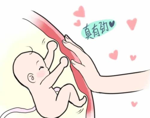 胎儿动的频繁是什么原因