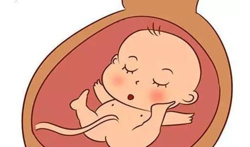 怎么检查胎儿是否畸形