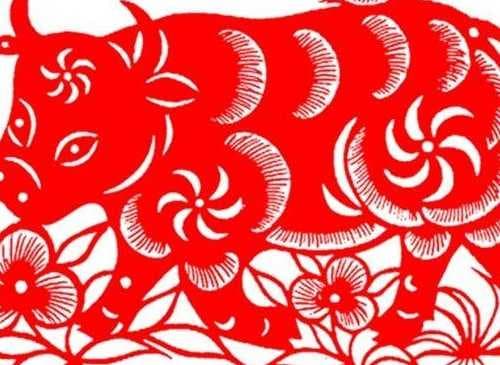 属牛和属猪的合得来吗