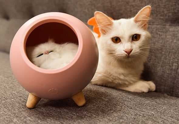 居家创意摆件，点缀一个生动丰富的桌面