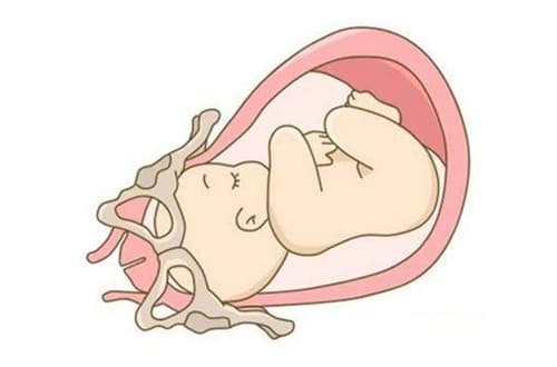 孕36周胎儿发育标准