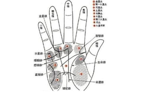 姻缘怎么看