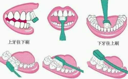 不用电的电动牙刷？力高打造更健康的刷牙方式