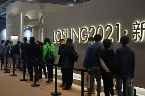 蓝谷LOSUNG
