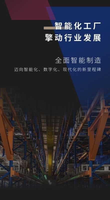 百年菲派