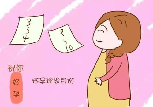 怎么算怀孕时间