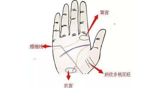 姻缘怎么看