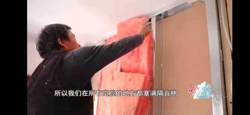 27平米“人虫混住”？《嗨！我的新家》爆改上海老房子秒变昆虫博物馆
