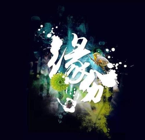 相识是缘分的经典语录