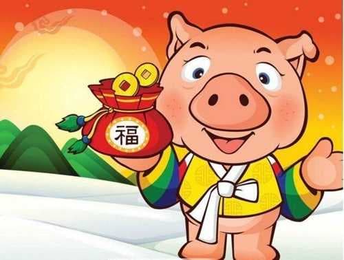 95年属什么的生肖