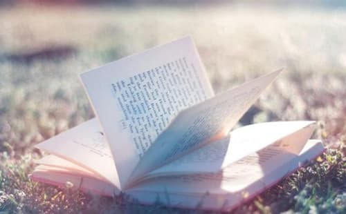 骗了女朋友怎么求原谅
