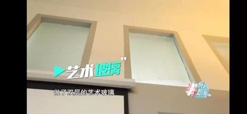 27平米“人虫混住”？《嗨！我的新家》爆改上海老房子秒变昆虫博物馆