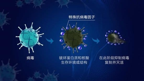 立邦抗病毒卷材涂料如何为畜牧业提供安全的防疫保护？